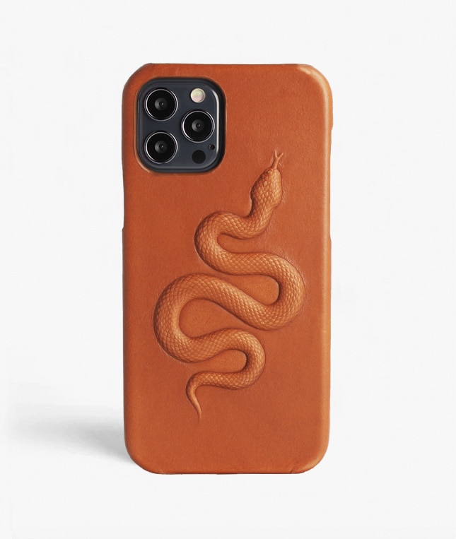 Funda iPhone 12/iPhone 12 Pro Snake Marrón