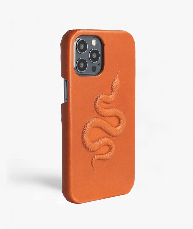Funda iPhone 12/iPhone 12 Pro Snake Marrón