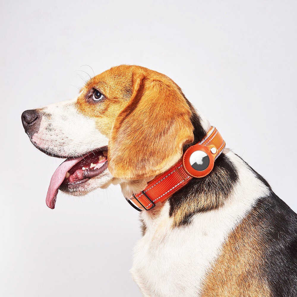 Apple AirTag Collar para Perro con Reflectante L, negro