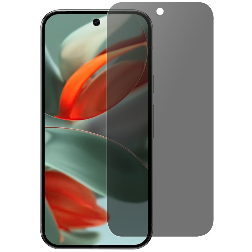 Protector de pantalla privacidad de cristal templado Google Pixel 9