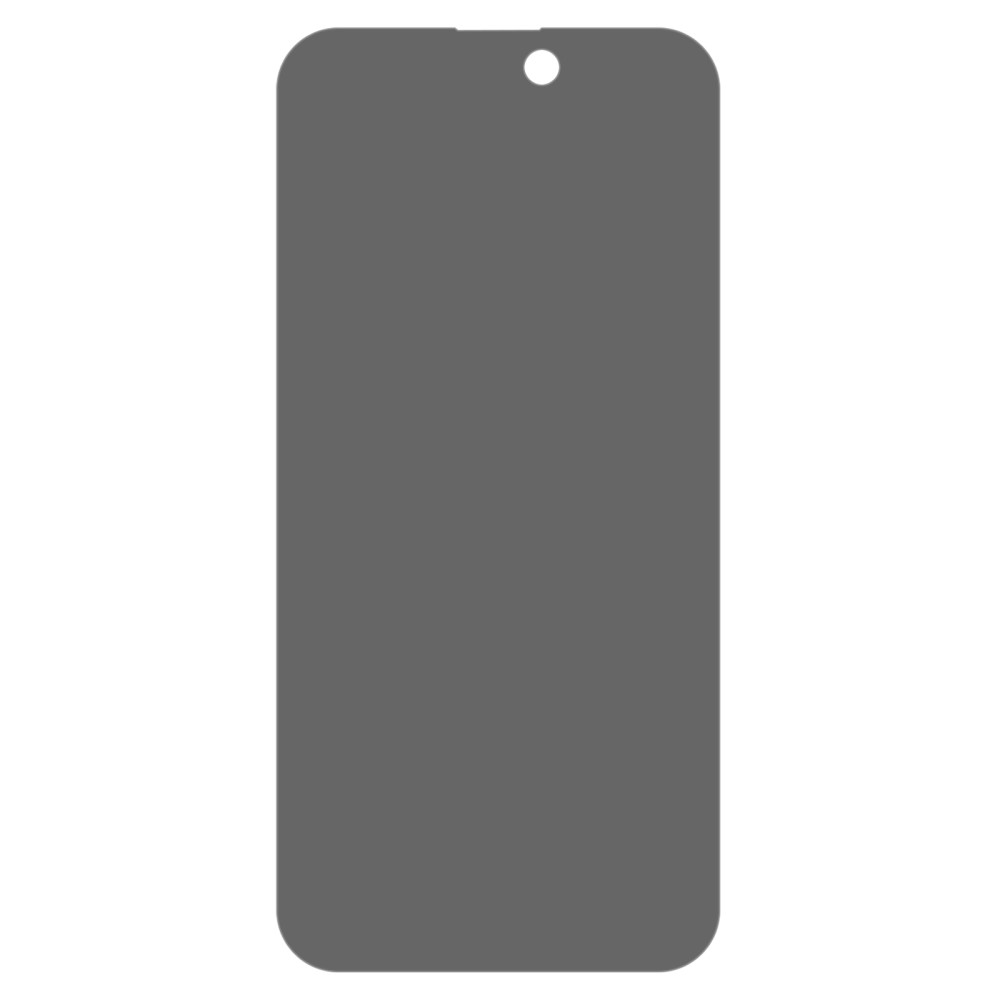 Protector de pantalla privacidad de cristal templado iPhone 15 negro