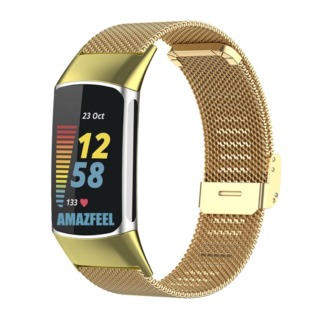 Correa de malla Fitbit Charge 6 Gold