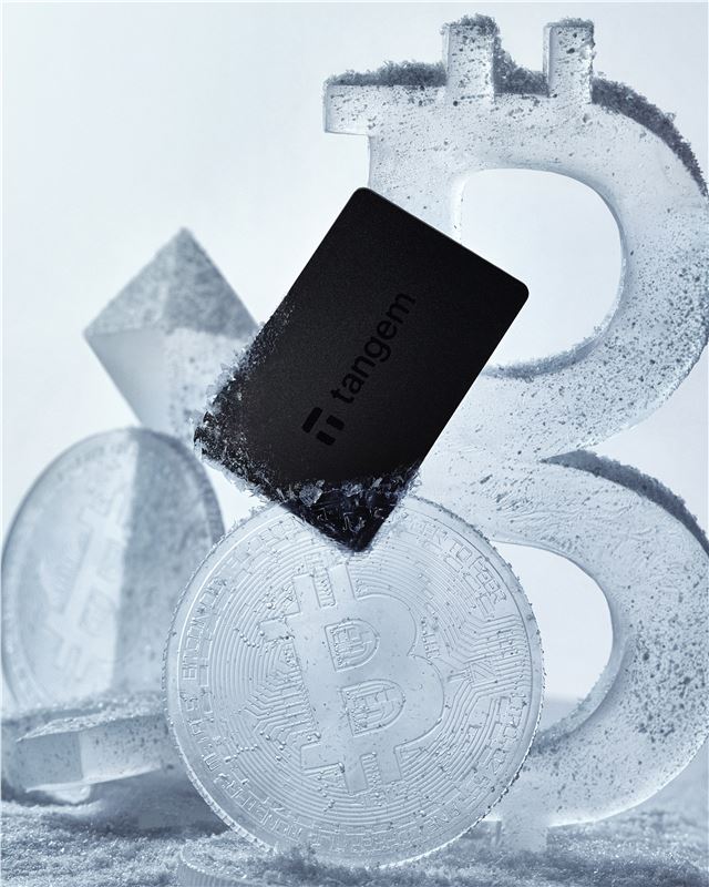 Crypto Hardware Wallet 3 Card set, negro