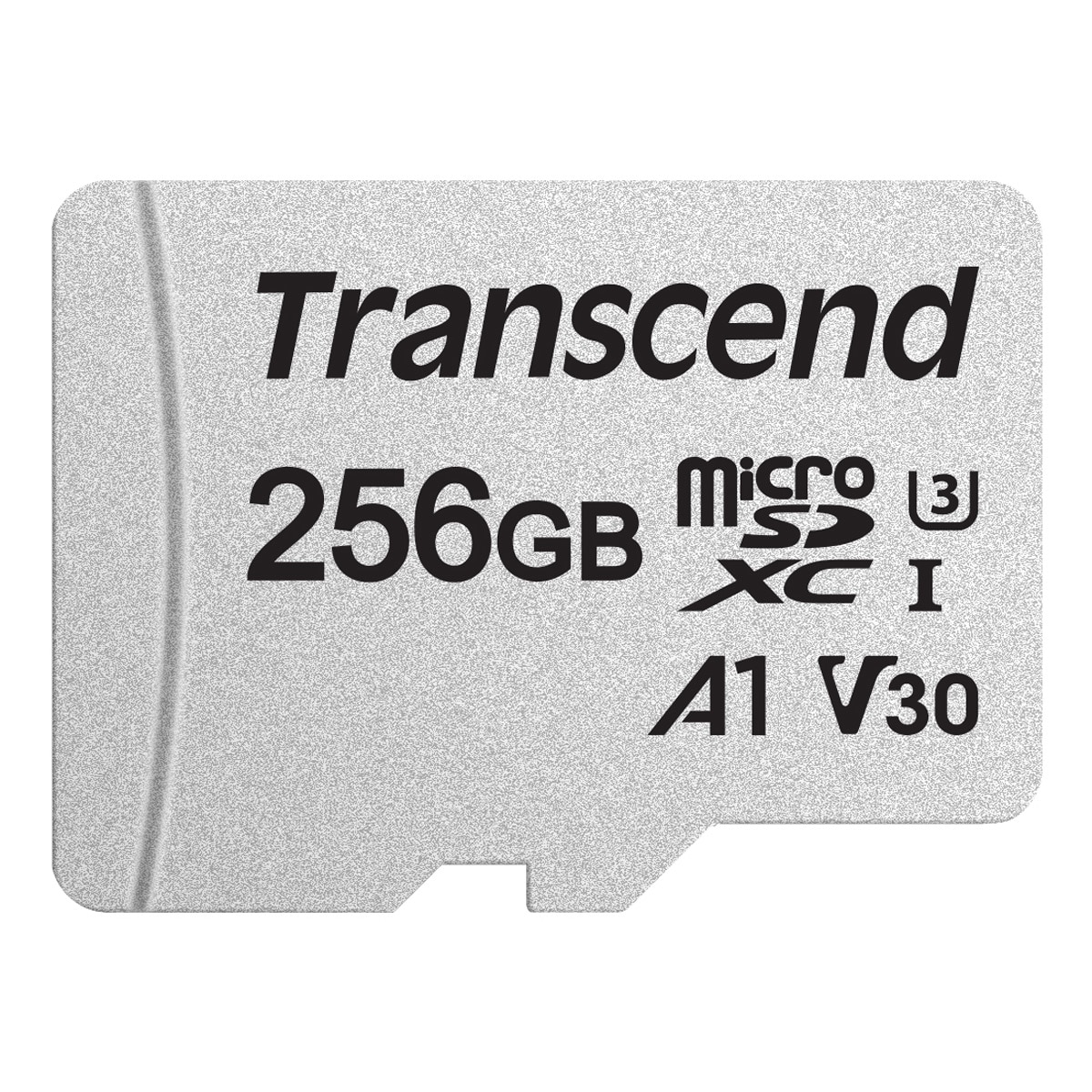 microSDXC 256GB U3 (R95/W40) - Tarjeta de memoria