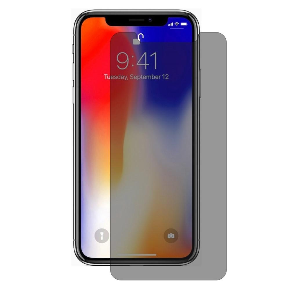 Protector de pantalla privacidad de cristal templado iPhone X/XS Negro