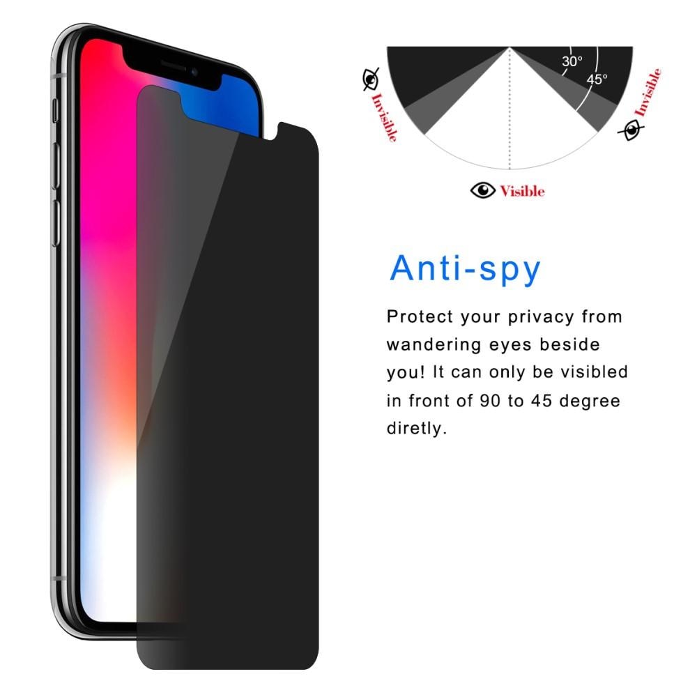 Protector de pantalla privacidad de cristal templado iPhone Xs Max Negro